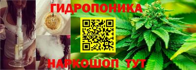стаф Краснознаменск