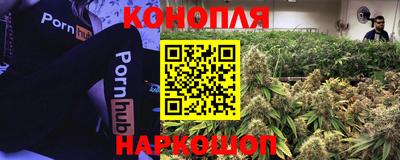 стаф Краснознаменск
